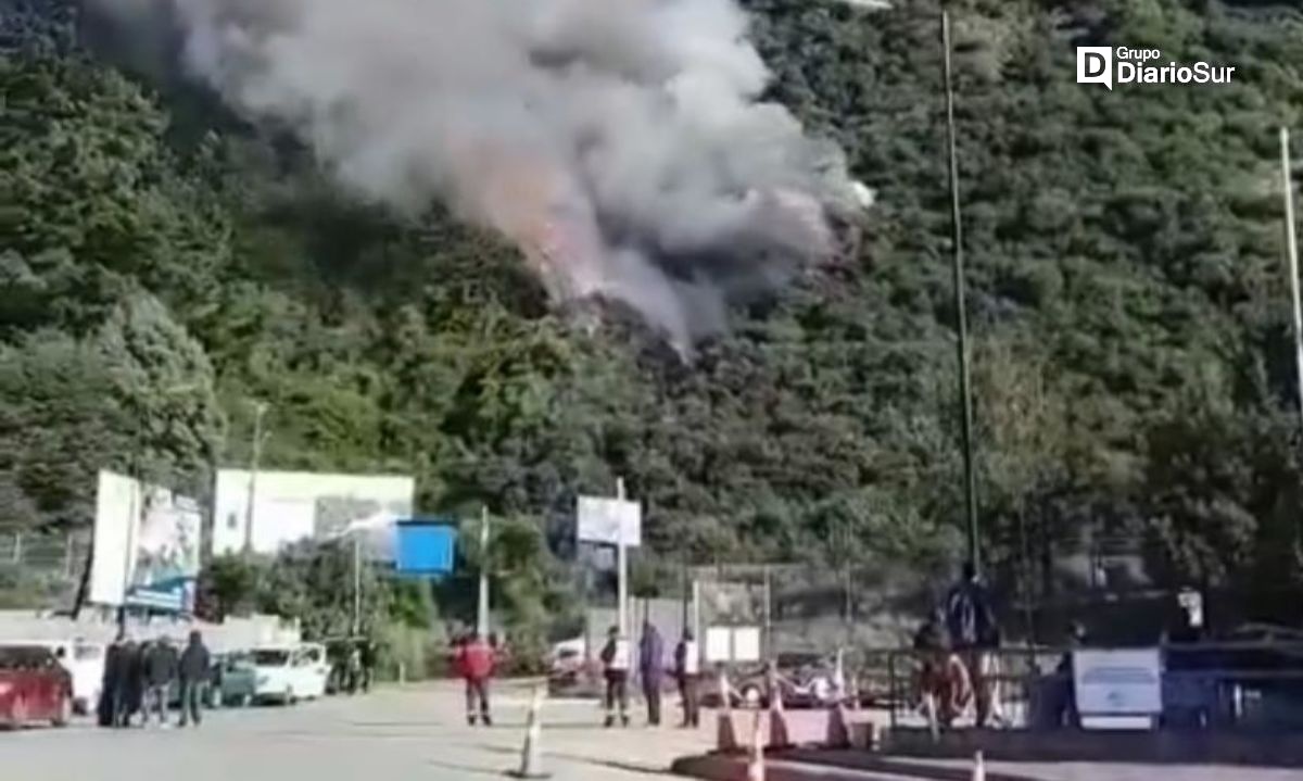 Incendio se declara en Niebla